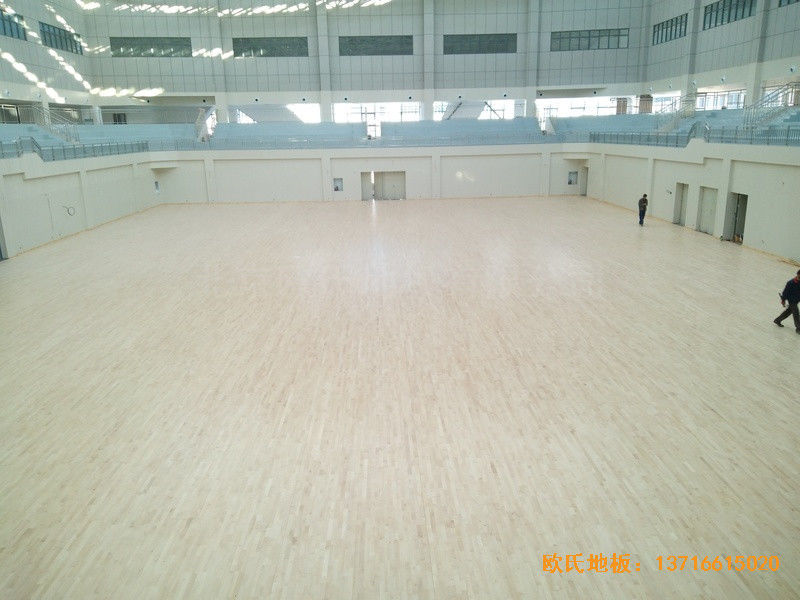 云南紅河州財經大學體育館運動木地板鋪裝案例4