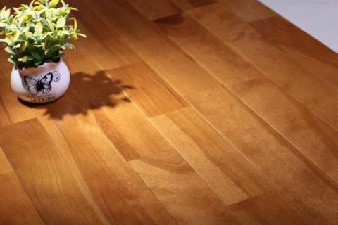 體育場木地板，性能與優點您都知道嗎