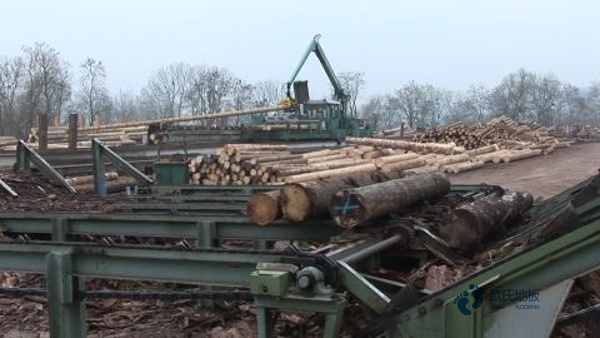 學(xué)校籃球場(chǎng)館地板耐磨度2