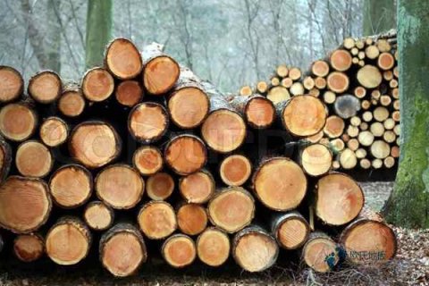 籃球運(yùn)動(dòng)木地板施工